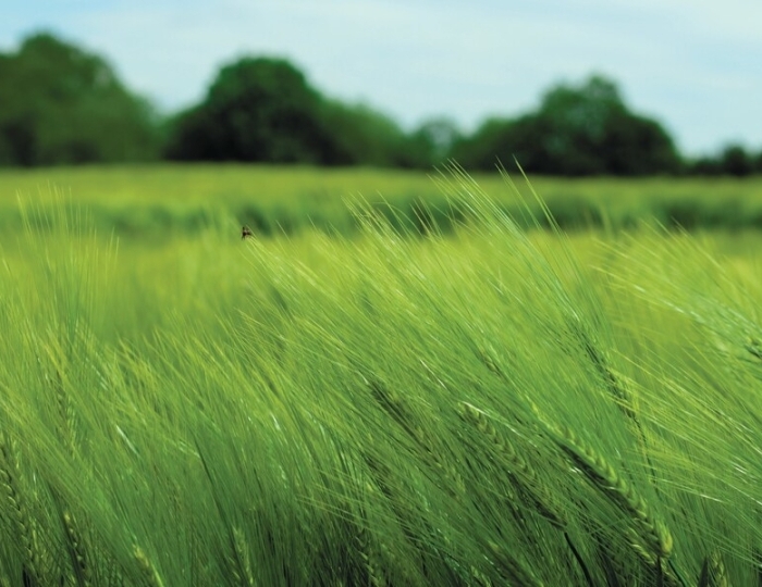 Программа «Раннее выявление - своевременное лечение» - Санаторий «МЧС» Кисловодск