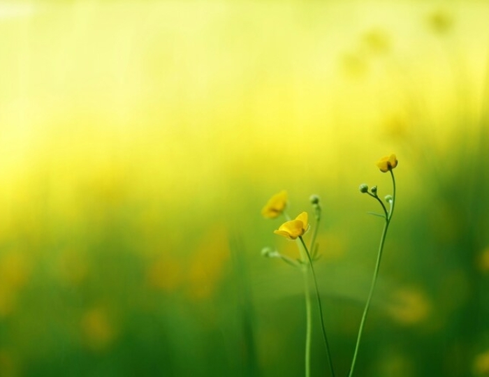 Программа «Щитовидная железа» - Санаторий «МЧС» Кисловодск