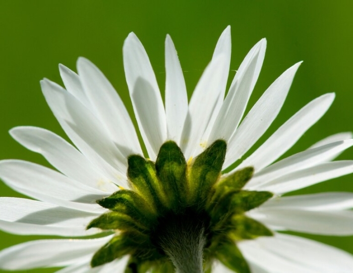 Программа «Здоровые вены» - Лечебные программы - Санаторий «МЧС» Кисловодск